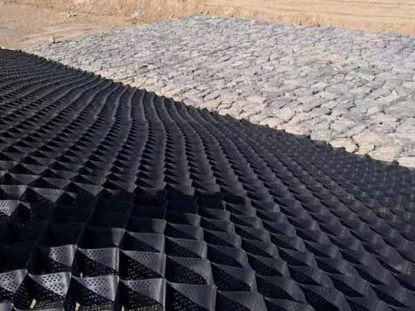 c(din)鿴Ԕ(x)Ϣ(bio)} xΔ(sh)1828