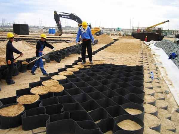 c(din)鿴Ԕ(x)Ϣ(bio)} xΔ(sh)1536