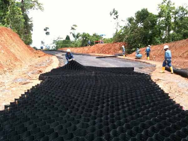 c(din)鿴Ԕ(x)Ϣ(bio)} xΔ(sh)1578